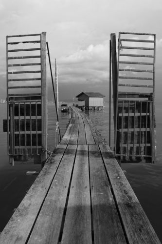 bridge1w-Quick Preset_1365x2048