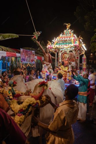 cultural-Quick Preset_1366x2048