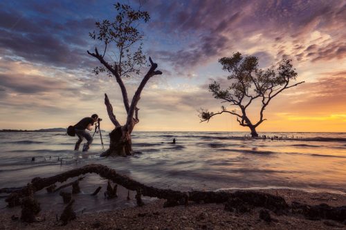 lonelytree3-Quick Preset_2048x1366